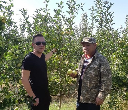специалисты делятся опытом выращивания яблок