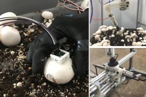 робот для сбора грибов