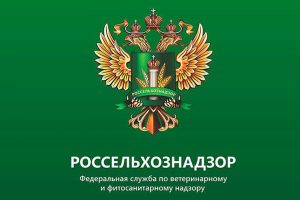 Правительство Казахстана примет новые меры по поддержке АПК