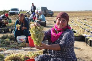 Восточноказахстанцы смогут экспортировать продукцию за рубеж