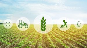 цифровизация сельского хозяйства